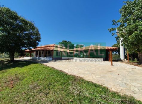 74227532-4820-4309-bdb1-567dd3ac4b74