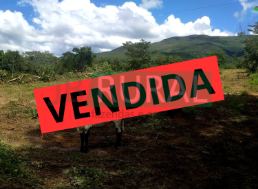 CHA-01345 VENDIDA