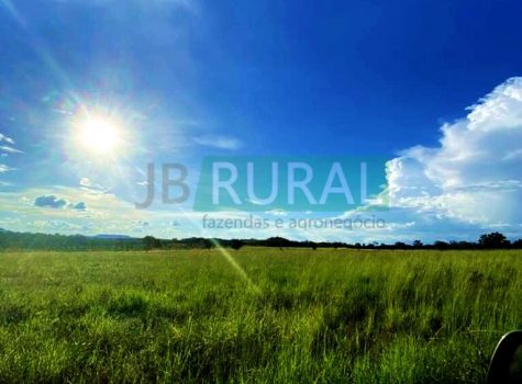 ebd1387b-02c0-437f-b8d1-854168726466